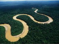 /album/fotogaleria-selva/descarga-jpg3/