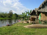 /album/fotogaleria-selva/images-jpg4/